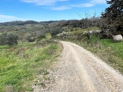 Rustico/Casale in vendita a Lajatico - foto 10