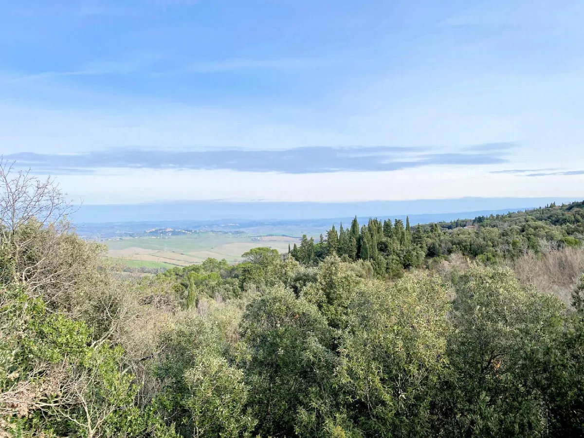 Rustico/Casale in vendita a Lajatico - foto 2