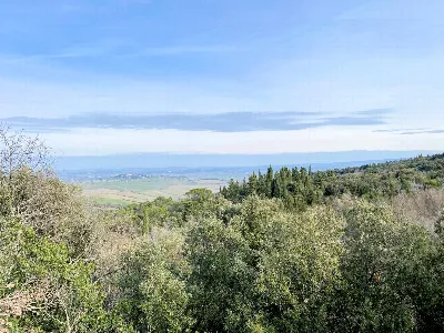 Rustico/Casale in vendita a Lajatico - foto 2