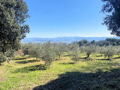 Rustico/Casale in vendita a Lajatico - foto 4