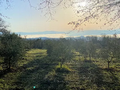 Rustico/Casale in vendita a Lajatico - foto 6