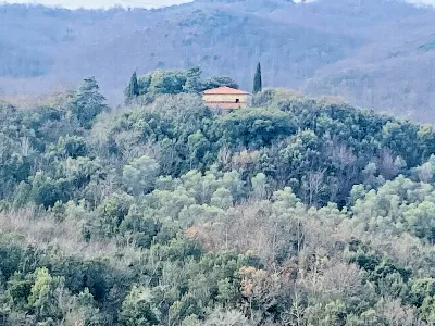 Rustico/Casale in vendita a Lajatico - foto 8