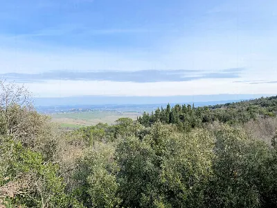 Rustico/Casale in vendita a Lajatico - foto 9