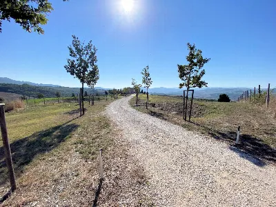 Rustico/Casale in vendita a Volterra - foto 10