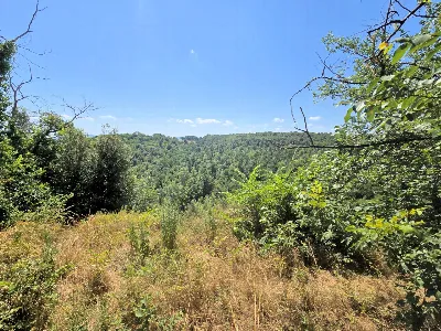 Rustico/Casale in vendita a Colle di Val d... - foto 10