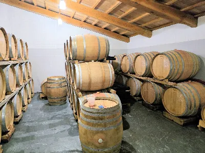 Rustico/Casale in vendita a Scansano - foto 3