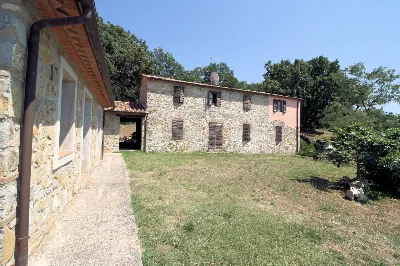 Rustico/Casale in vendita a Scansano - foto 7