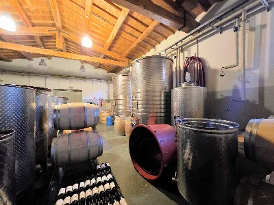 Rustico/Casale in vendita a Scansano - foto 8