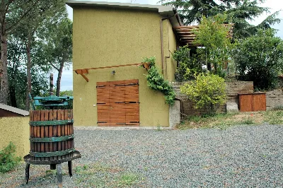 Rustico/Casale in vendita a Grosseto, Gros... - foto 7