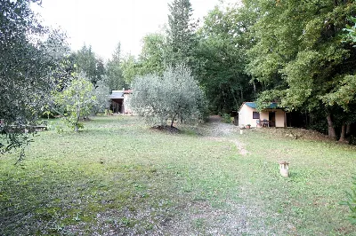 Rustico/Casale in vendita a Roccastrada - foto 10