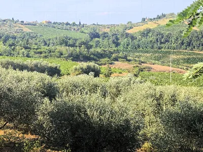 Rustico/Casale in vendita a Gambassi Terme - foto 2
