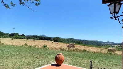Rustico/Casale in vendita a Manciano - foto 9