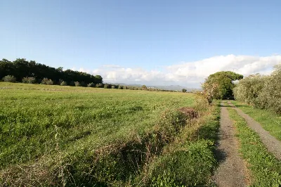 Rustico/Casale in vendita a Roccastrada - foto 6