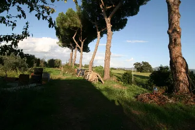 Rustico/Casale in vendita a Roccastrada - foto 8