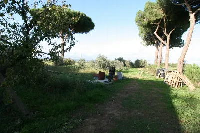 Rustico/Casale in vendita a Roccastrada - foto 9