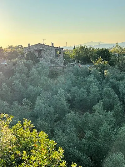 Rustico/Casale in vendita a Roccastrada - foto 3