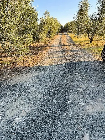 Rustico/Casale in vendita a Roccastrada - foto 8