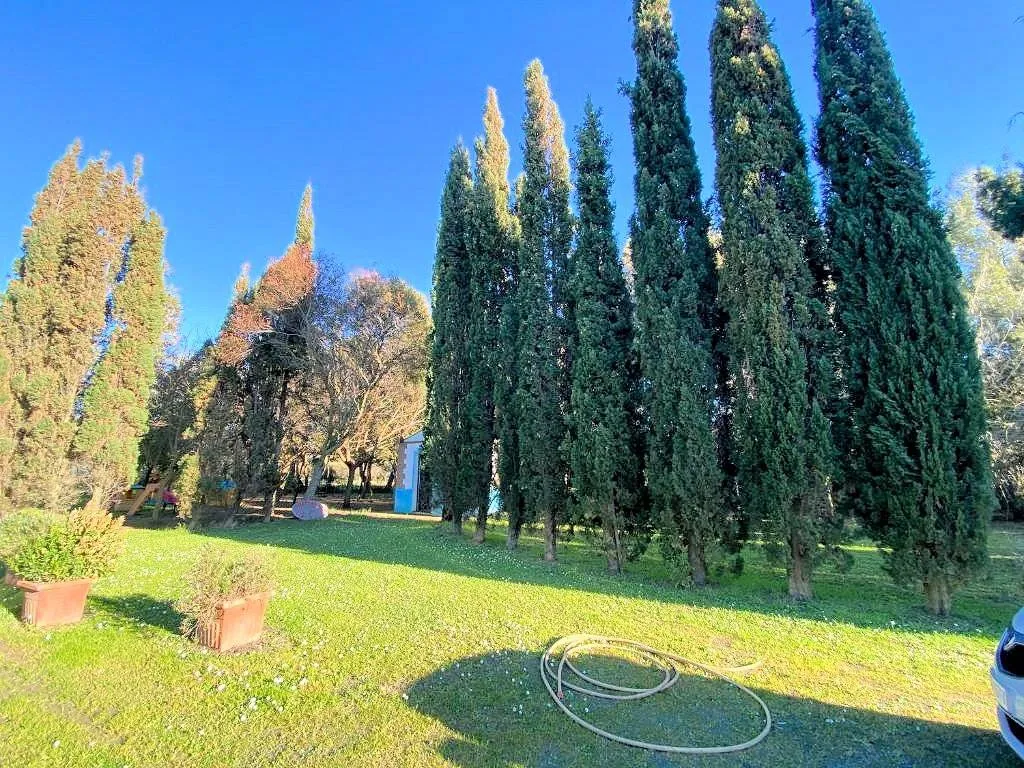 Rustico/Casale in vendita a Rosignano Marittimo - foto 4