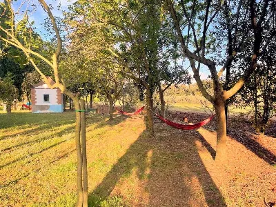 Rustico/Casale in vendita a Rosignano Mari... - foto 6