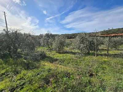 Rustico/Casale in vendita a Roccastrada - foto 10