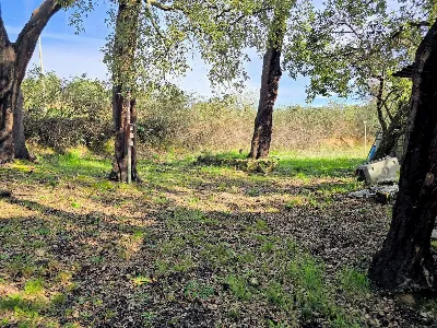 Rustico/Casale in vendita a Roccastrada - foto 2