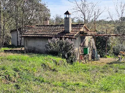 Rustico/Casale in vendita a Roccastrada - foto 3