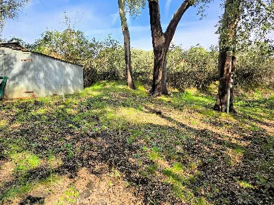 Rustico/Casale in vendita a Roccastrada - foto 4