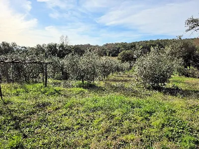 Rustico/Casale in vendita a Roccastrada - foto 6