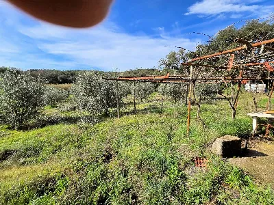 Rustico/Casale in vendita a Roccastrada - foto 8