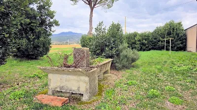 Rustico/Casale in vendita a Roccastrada - foto 2