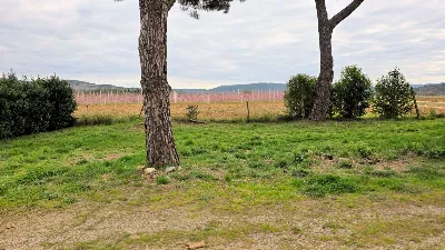 Rustico/Casale in vendita a Roccastrada - foto 4