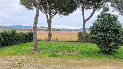 Rustico/Casale in vendita a Roccastrada - foto 6