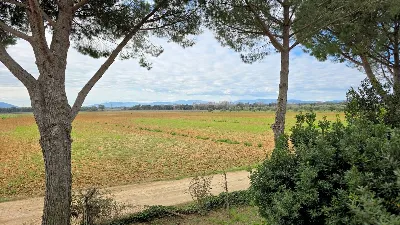 Rustico/Casale in vendita a Roccastrada - foto 8