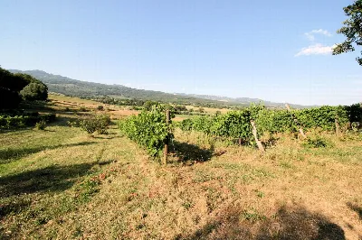 Rustico/Casale in vendita a Roccastrada - foto 4