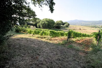 Rustico/Casale in vendita a Roccastrada - foto 6