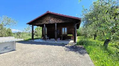 Rustico/Casale in vendita a Palaia - foto 10
