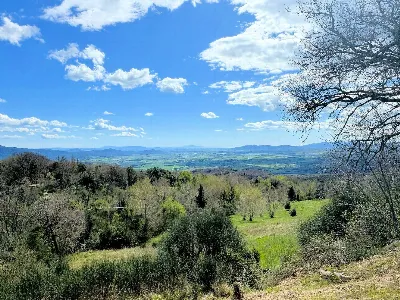 Rustico/Casale in vendita a Roccastrada - foto 10