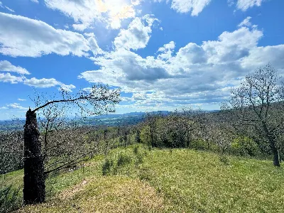 Rustico/Casale in vendita a Roccastrada - foto 3