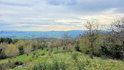 Rustico/Casale in vendita a Roccastrada - foto 5