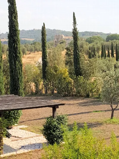 Rustico/Casale in vendita a Magliano in To... - foto 7
