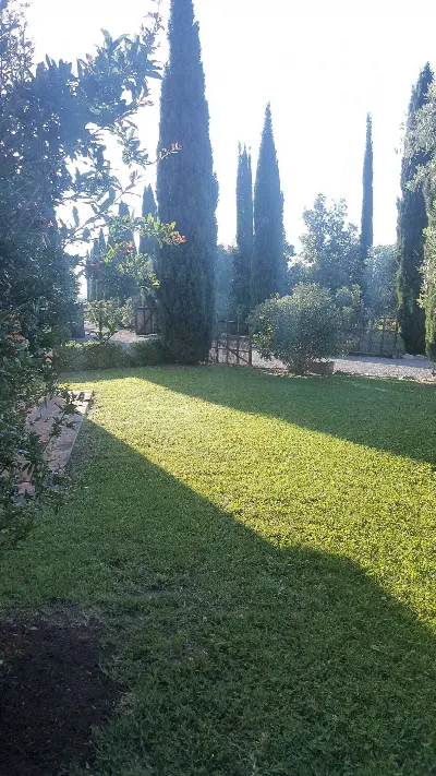 Rustico/Casale in vendita a Magliano in To... - foto 8