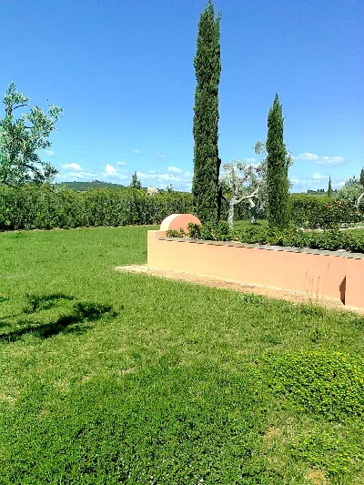 Rustico/Casale in vendita a Magliano in To... - foto 9