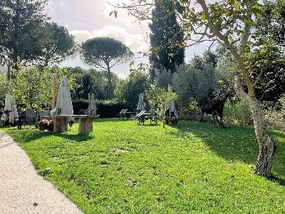 Rustico/Casale in vendita a Massa Marittim... - foto 6