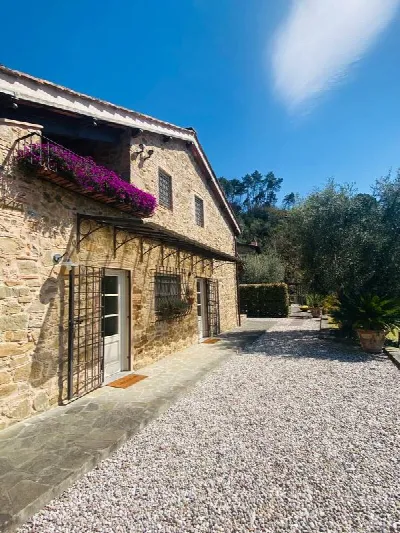 Rustico/Casale in vendita a Pescaglia - foto 10