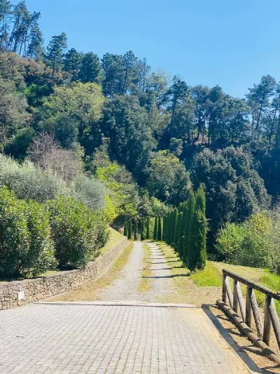Rustico/Casale in vendita a Pescaglia - foto 7