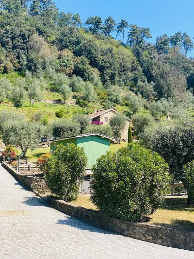 Rustico/Casale in vendita a Pescaglia - foto 9