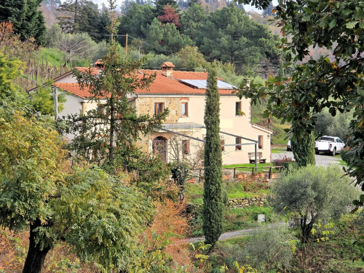 Rustico/Casale in vendita a Marliana - foto 2
