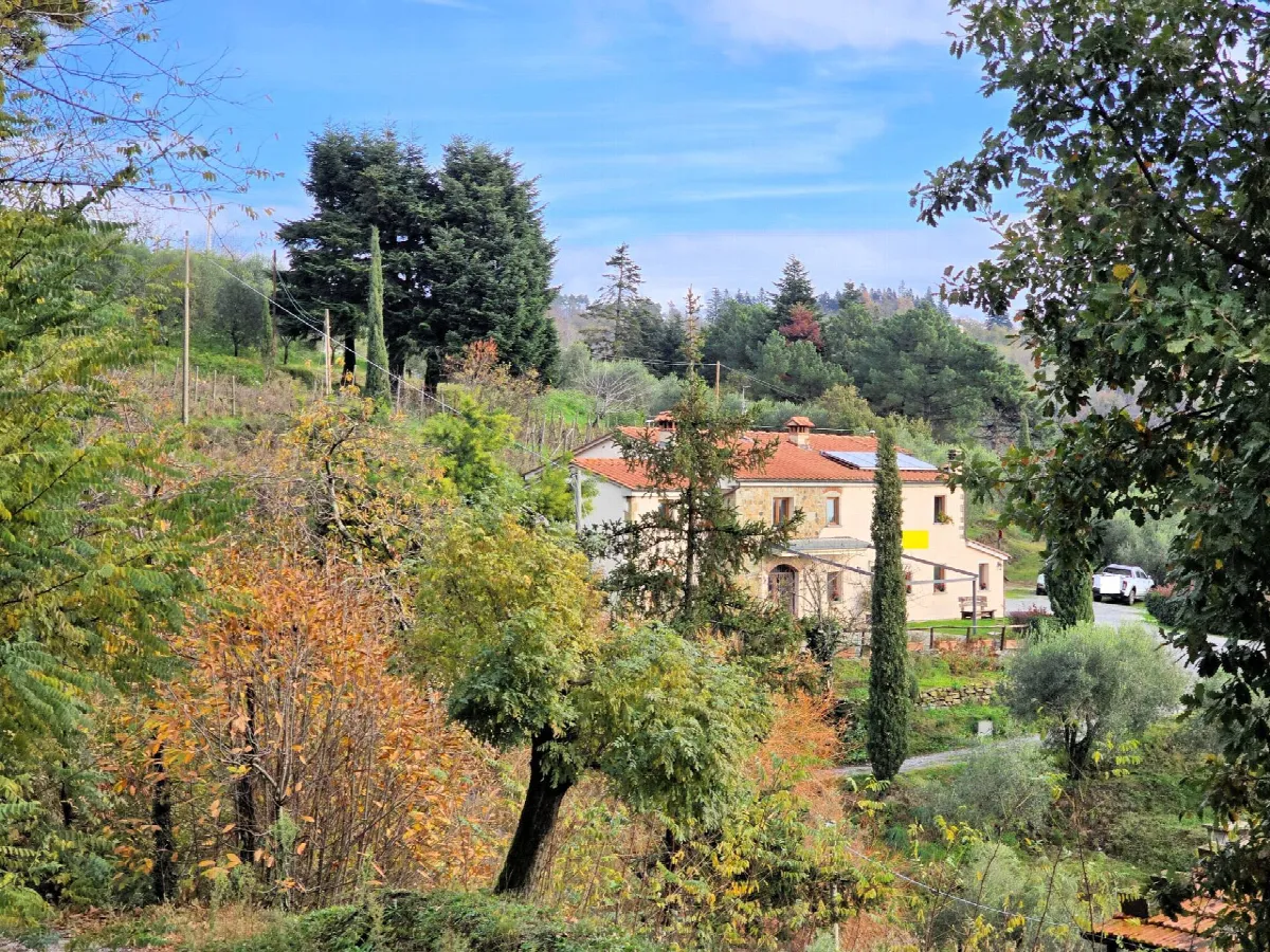 Rustico/Casale in vendita a Marliana - foto 5