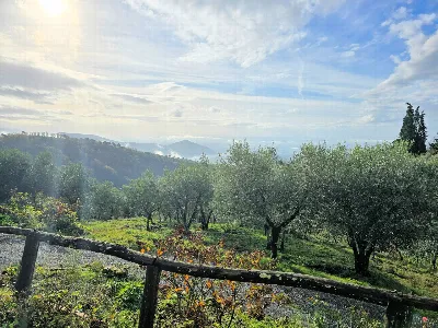 Rustico/Casale in vendita a Marliana - foto 7