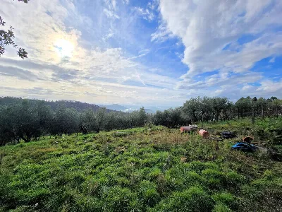 Rustico/Casale in vendita a Marliana - foto 9